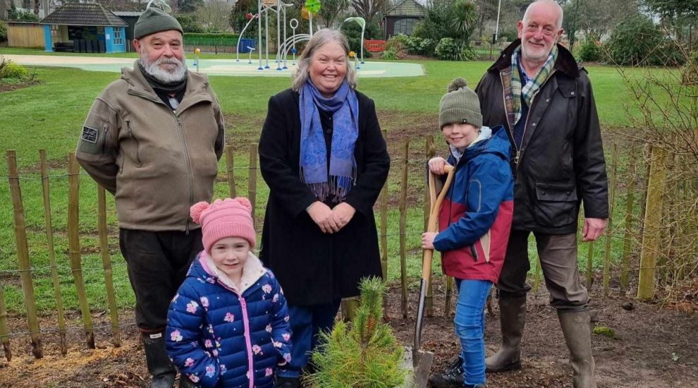 Young boy replants tree sapling to restore storm-damaged park