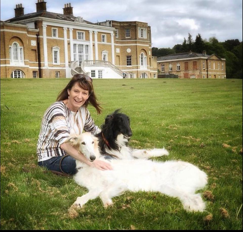 A Jersey holiday for dogs... in Bedfordshire Bailiwick