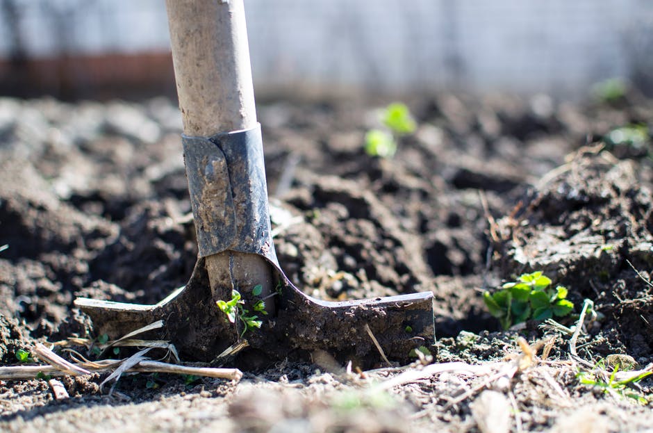 soil_agriculture_farming_gardening_grow_plants_dig.jpg