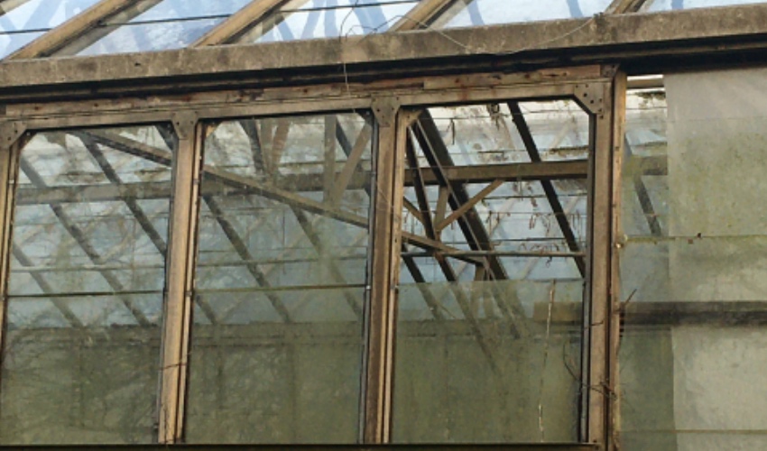 Glasshouse greenhouse.jpeg