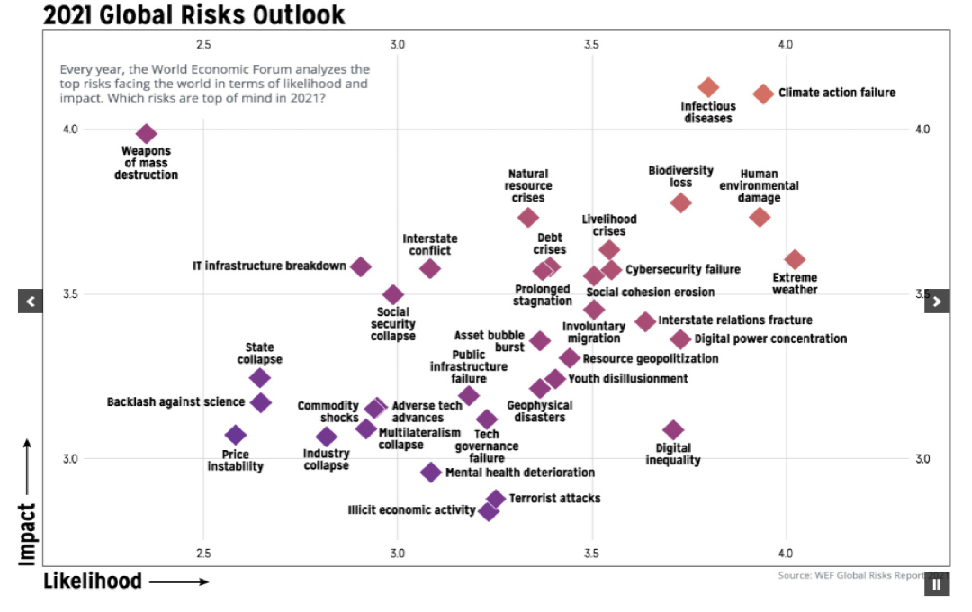 2021_Global_Risks.png