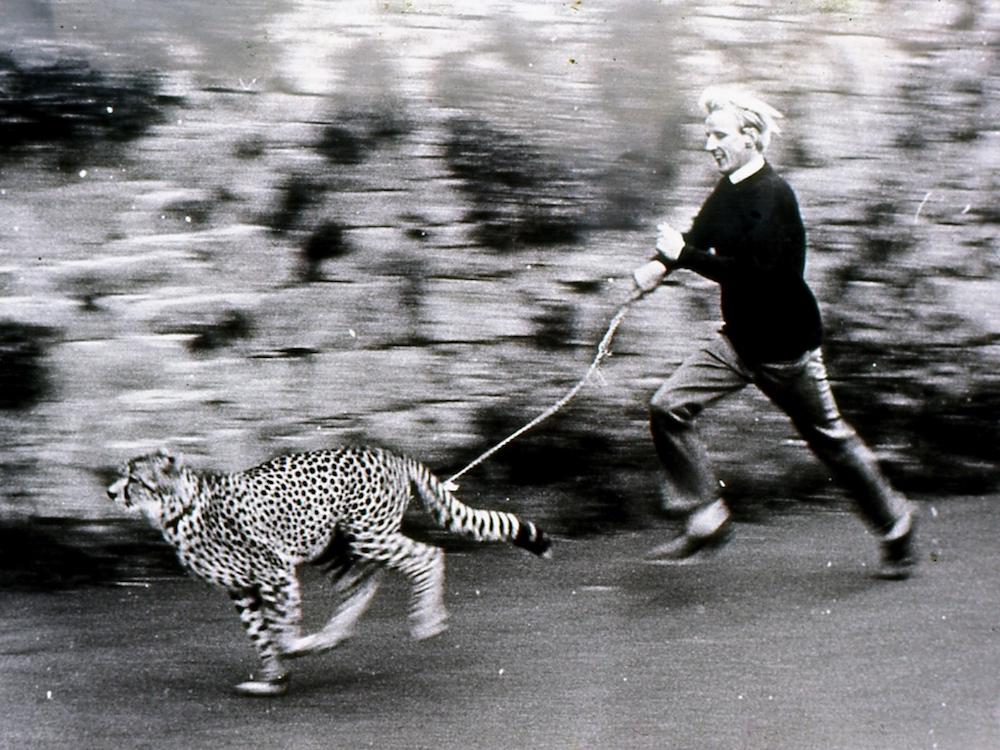 Jeremy_Mallinson_with_cheetah_at_Jersey_Zoo_ca_1960.jpg