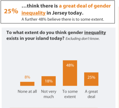 2IRG_Gender_equality_survey.png