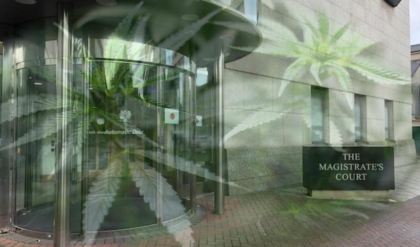 cannabis_magistrates_court.jpg