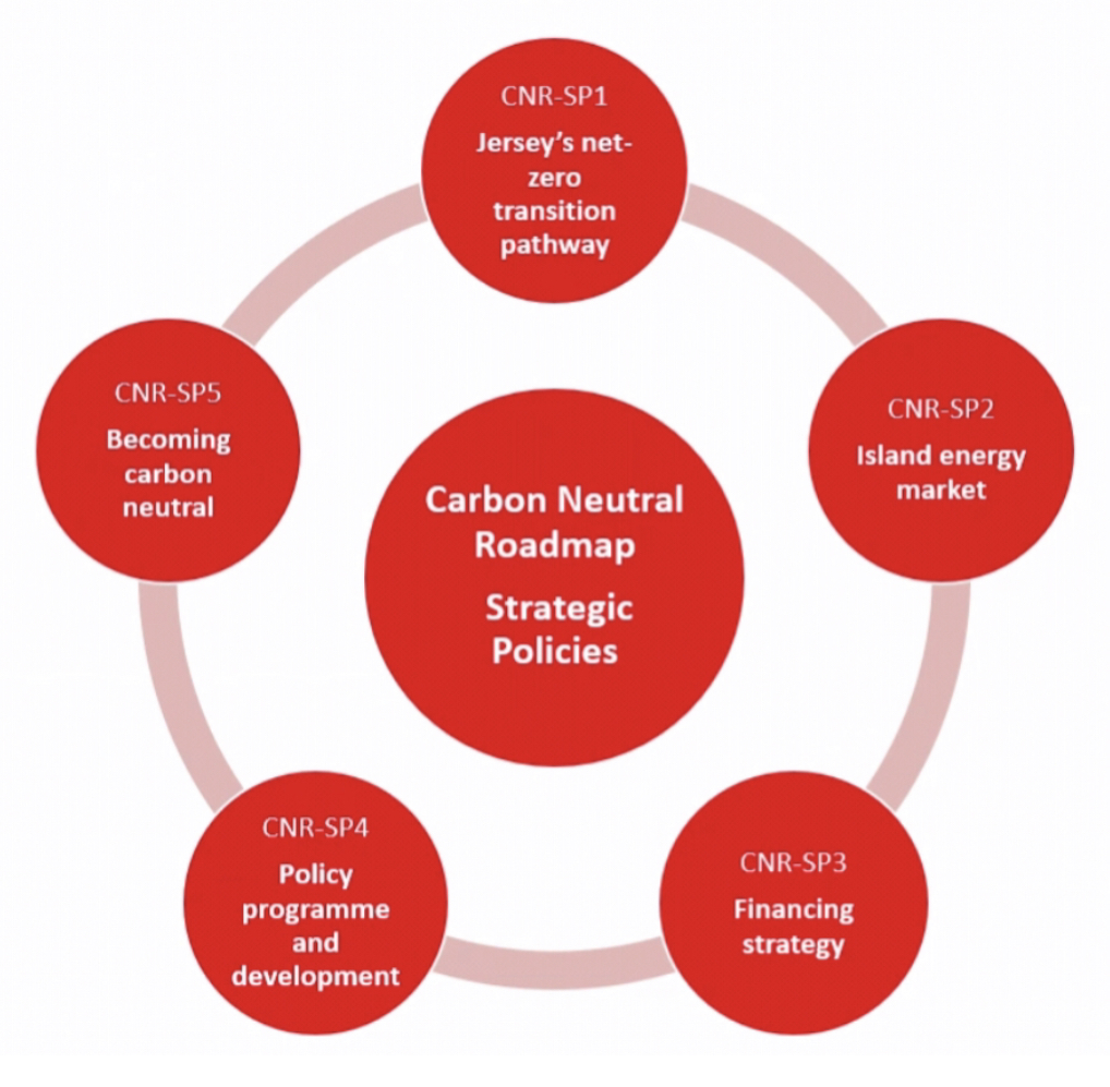 Carbon neutral strategic policies.jpg