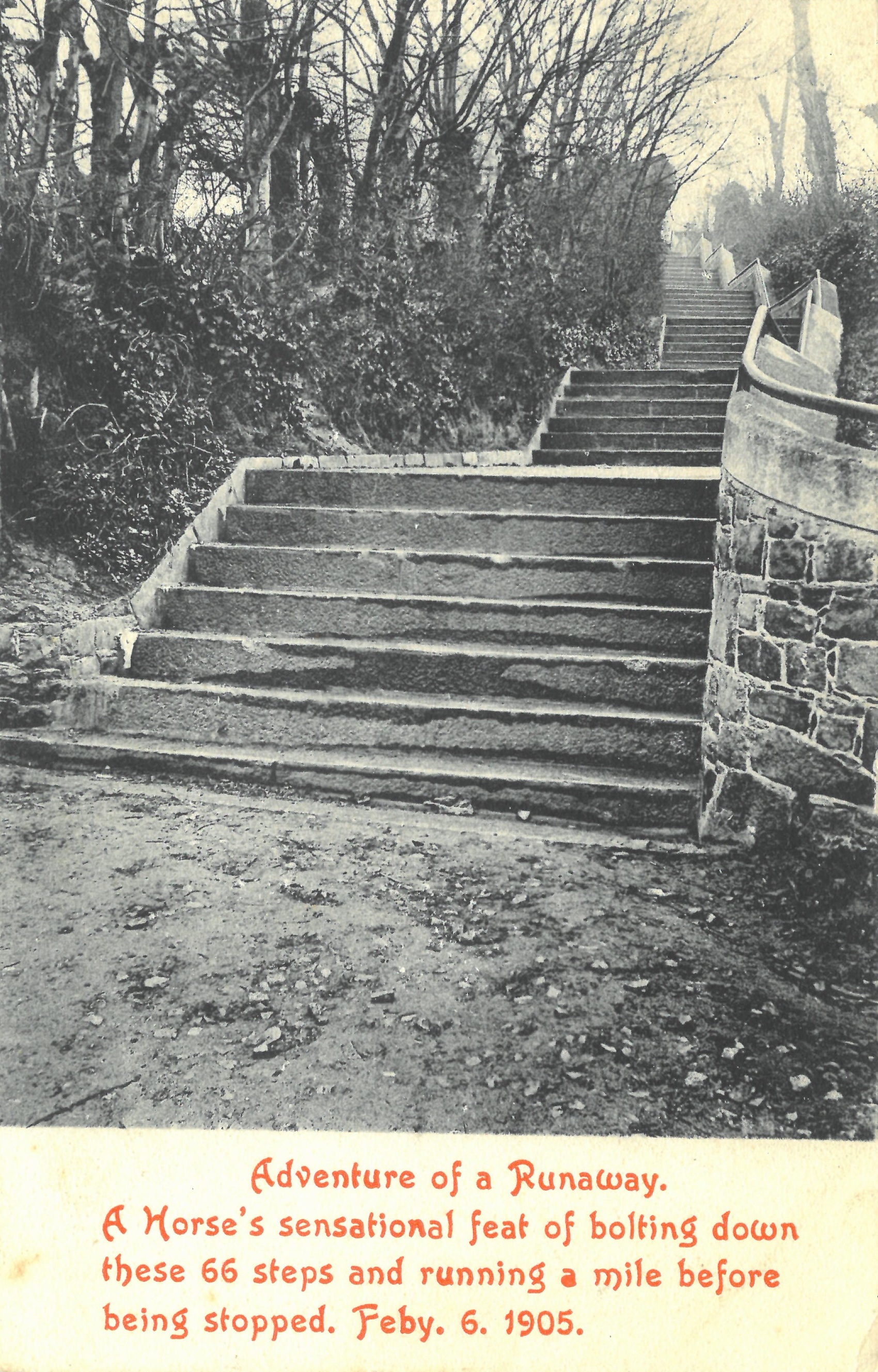 Postcard_looking_up_the_stairs_from_Queen_s_Road_to_New_St_John_s_Road_that_the_horse_bolted_down_Jersey_Heritage.jpg