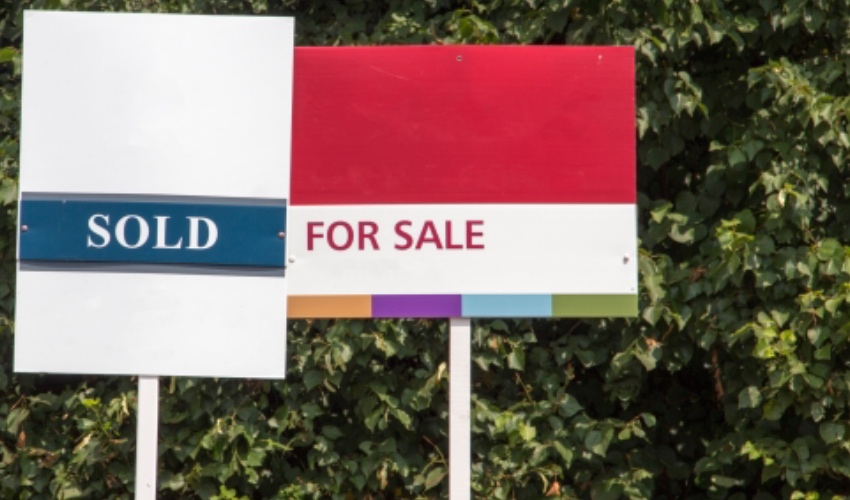 Estate agent for sale sole sign signs.jpeg