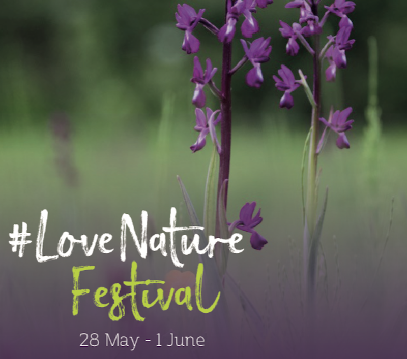 love_nature_festival.png