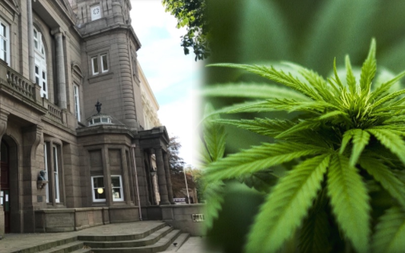 Cannabis Royal Court.jpeg