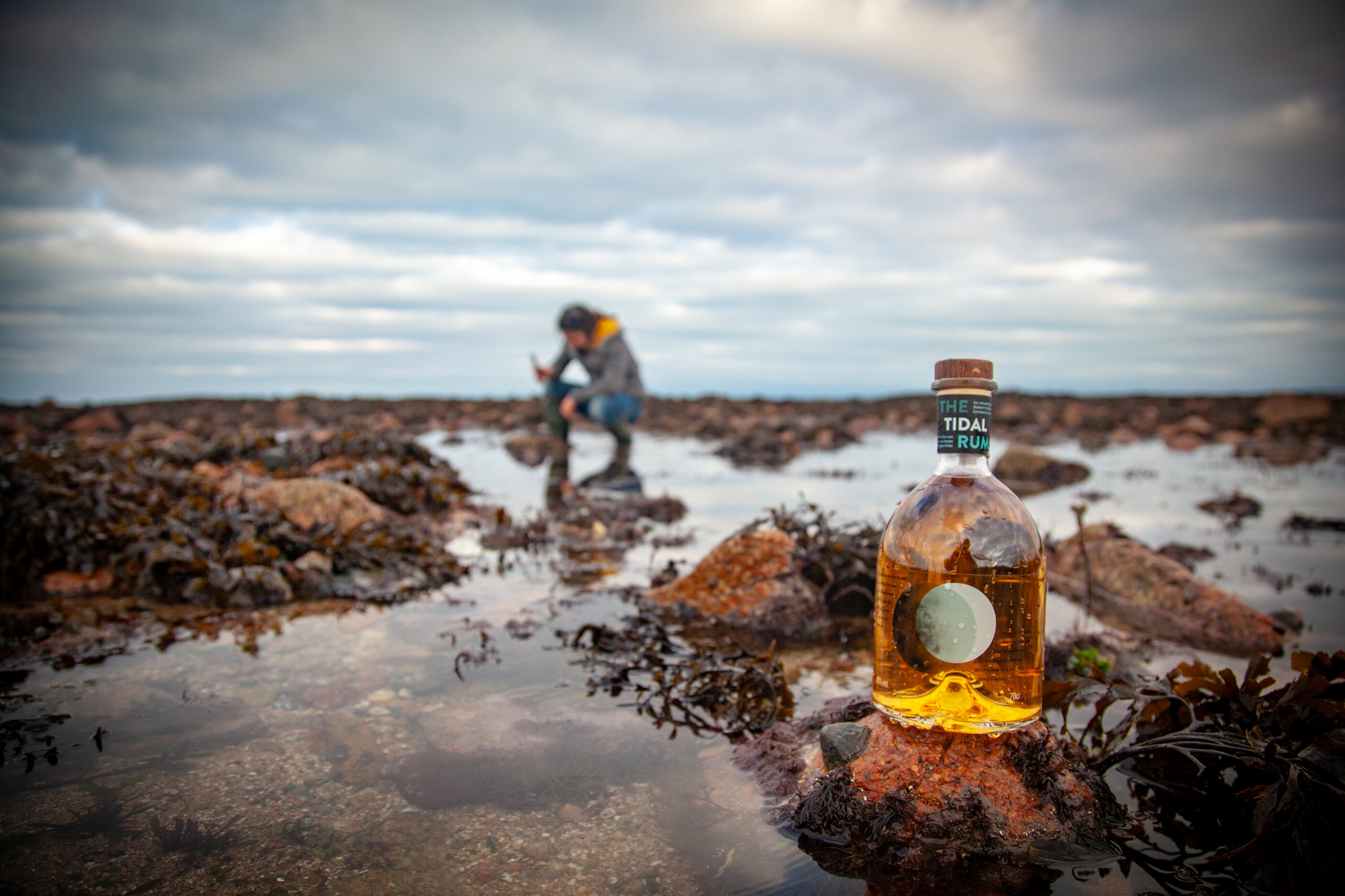 the tidal rum foraging for pepper dulse with kazz padidar.jpg