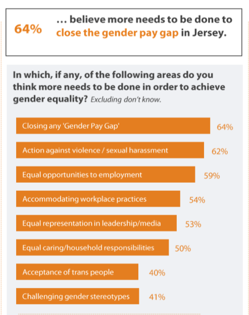 3IRG_Gender_equality_survey.png