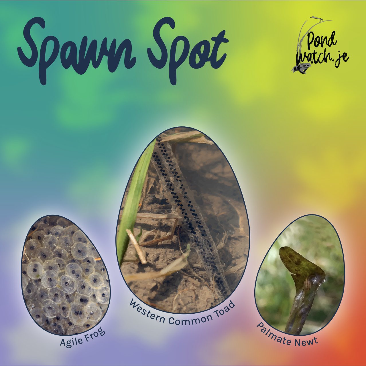 spawn_spot.png