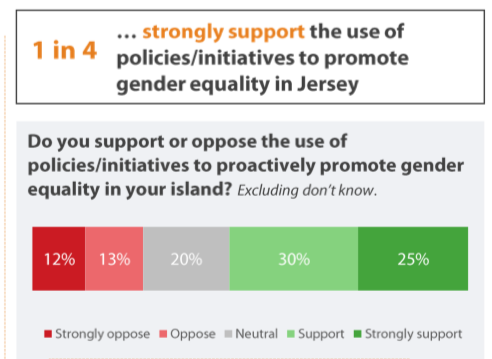 1IRG_Gender_equality_survey.png
