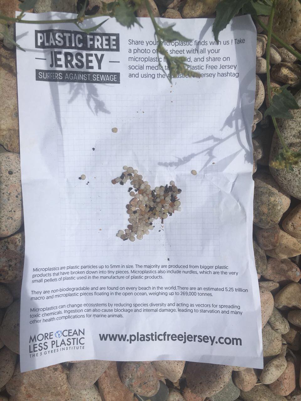 Nurdle hunting Plastic Free Jersey
