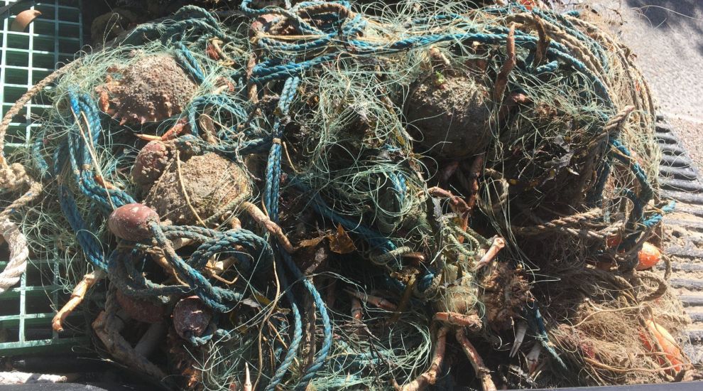 'Ghost fishing' warning after 20 crabs found dead in net