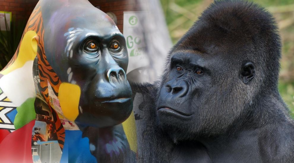 Few gorillas left as islanders ‘go wild’ for fundraising sculptures