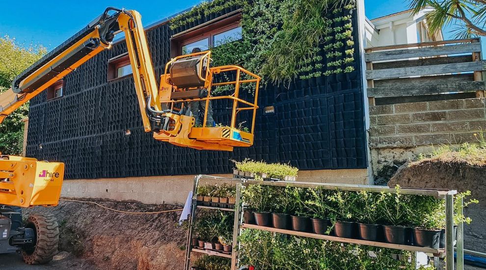Hopes for more green infrastructure after Jersey's first 'Living Wall' installed