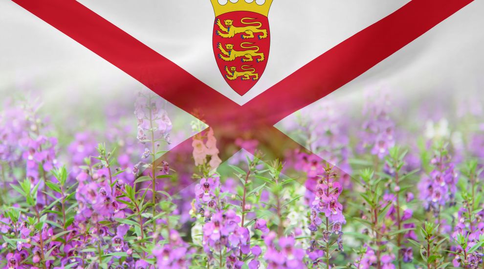 O flower of Scotland... Come be a Crown Dependency, says Guernsey politician