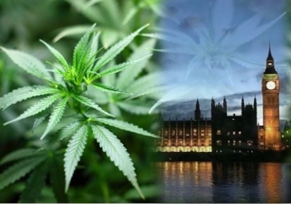 Major medicinal cannabis barrier removed