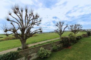 Spacious Apartment Overlooking The Royal Jersey Golf Course 
