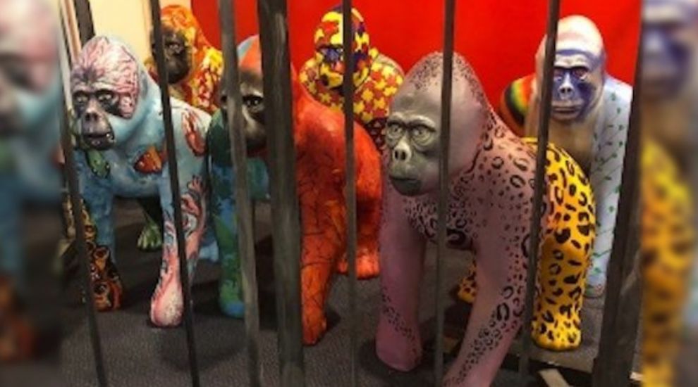 Bid to set ‘caged’ gorillas free