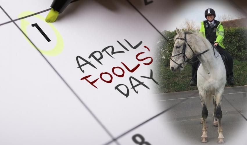 Only April Fools and Police horses!