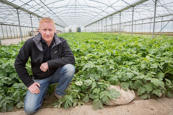 Farmer ploughs ahead to keep up locally grown supply