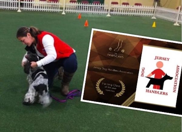 Local pup trainers nominated for 'doggie Oscars'