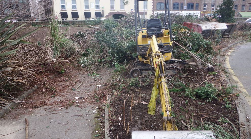 Campaigners stumped by car park clearance