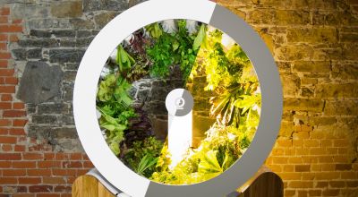 Rotating indoor garden lets you grow herbs and veg without compromising on space
