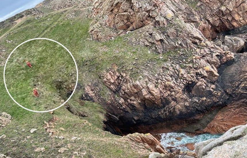 Ruff day! Dog rescued after falling over cliff