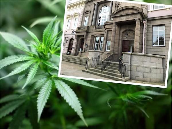 Cannabis farmers given “one last chance” by Royal Court