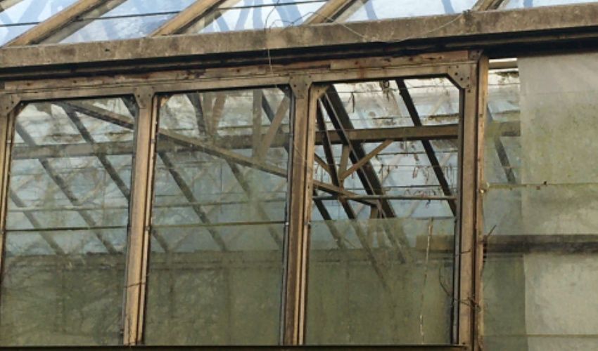 Bid to develop affordable homes on derelict glasshouses fails