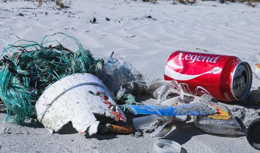 100 bits of rubbish found on every 100m of beach