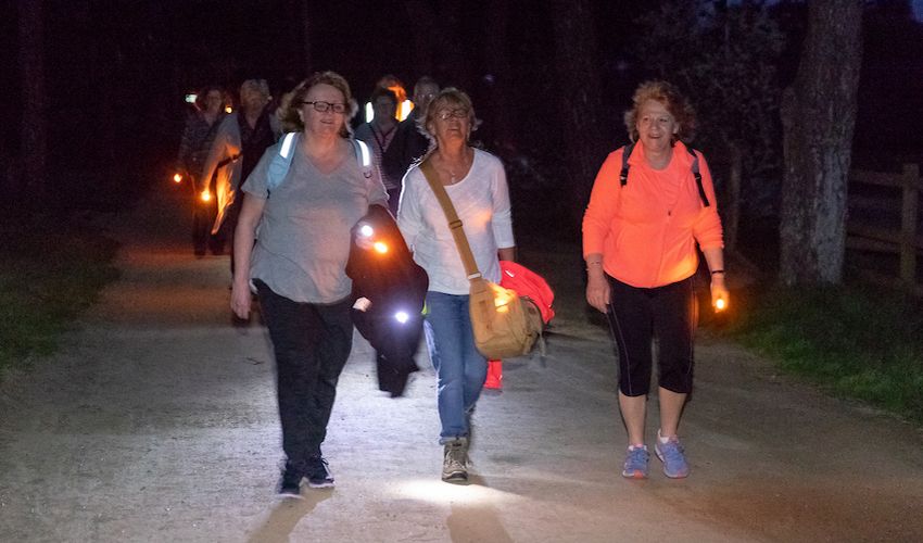 Walk into Light fundraiser returns after four years