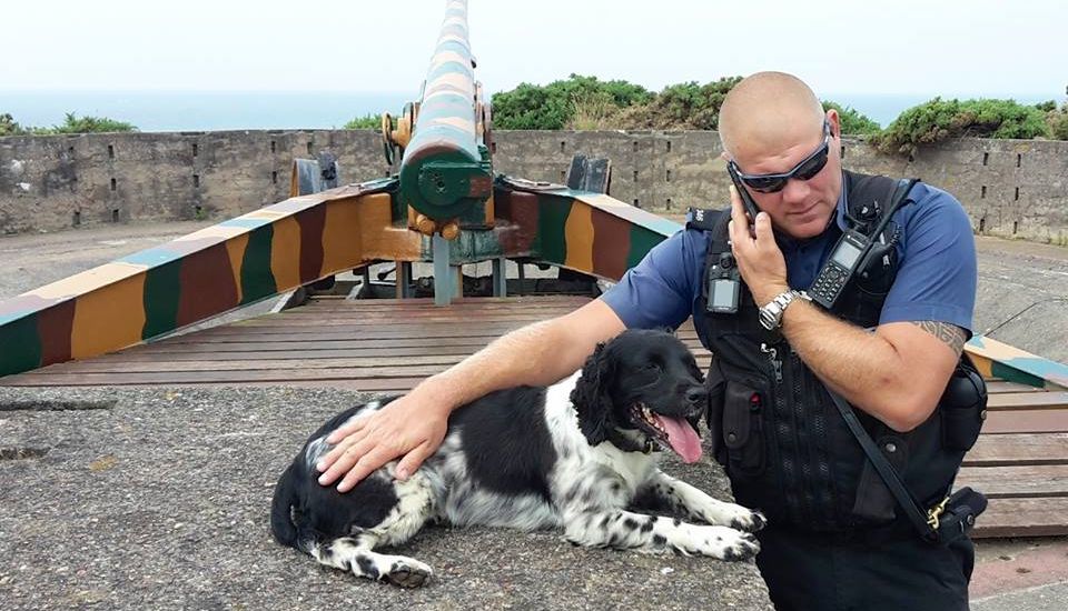 Police dogs on hand to catch “mindless” bunker vandals