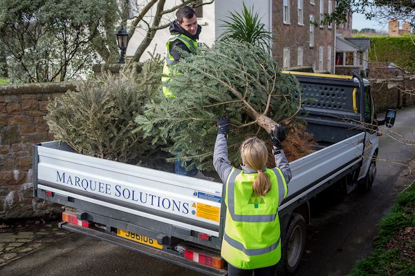 Christmas tree collectors wanted!