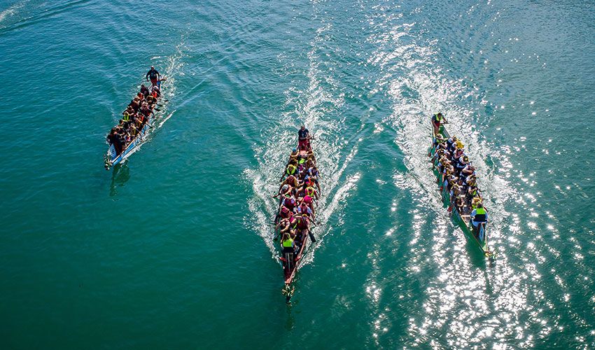 The annual Jersey Hospice Care Dragon Boat Festival returns this September