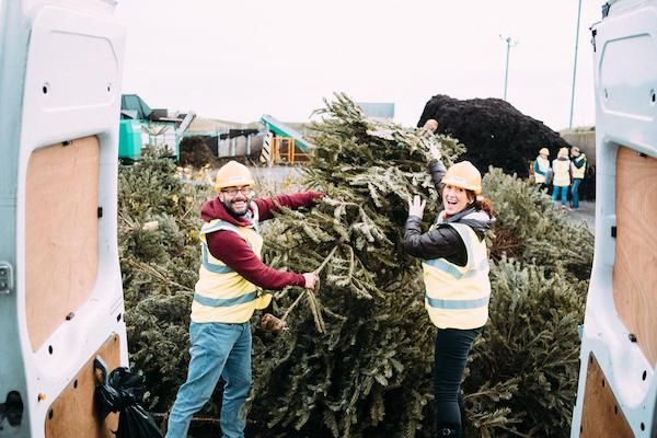 Tree-mendous total for Hospice recycling