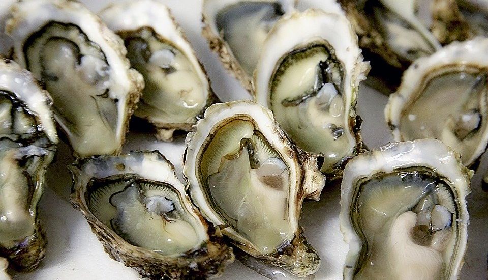 Beware the Brittany oysters