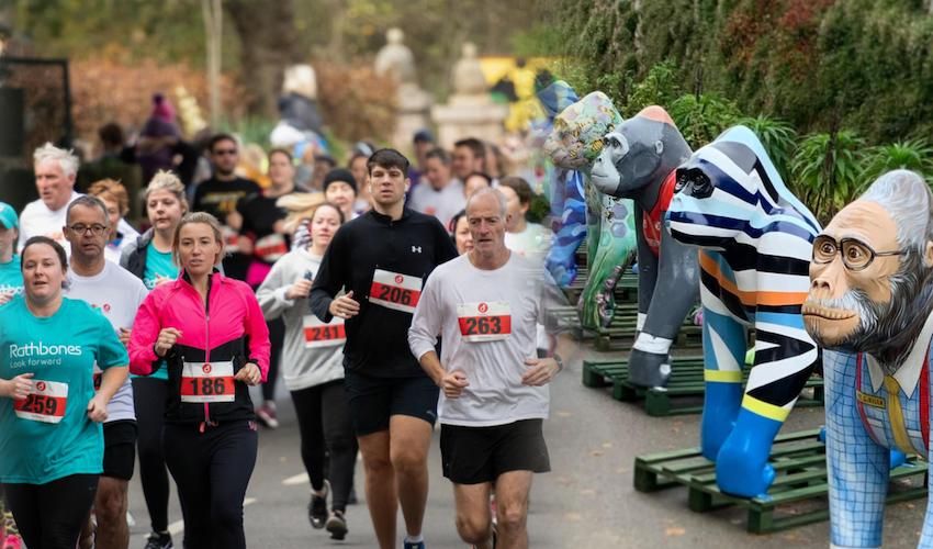 Runners urged to go bananas