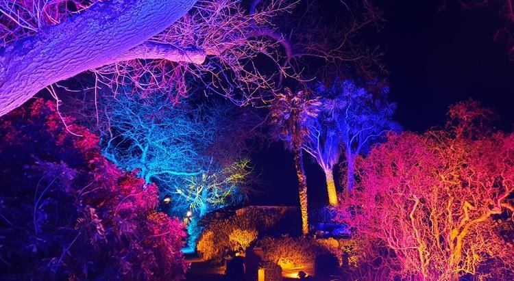 Quiet night for neurodiverse islanders to enjoy park illuminations