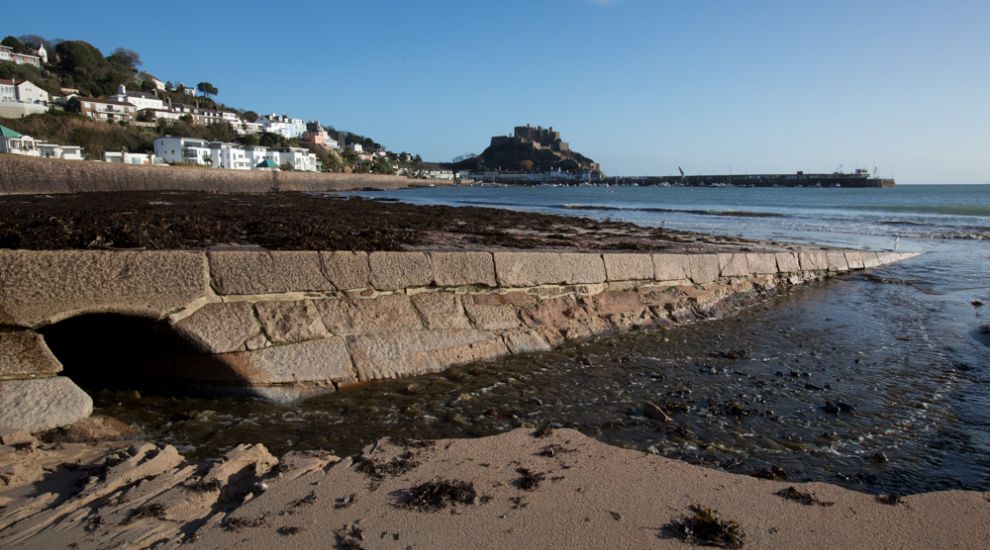Jersey gears up to tackle foreign marine critters