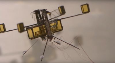 Scientists have created an insect-inspired robot that can fly and swim