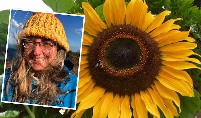 Get planting to save butterflies and bees, activist urges