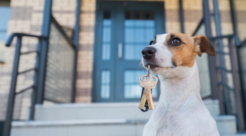 Should Jersey landlords be prevented from blanket banning pets?