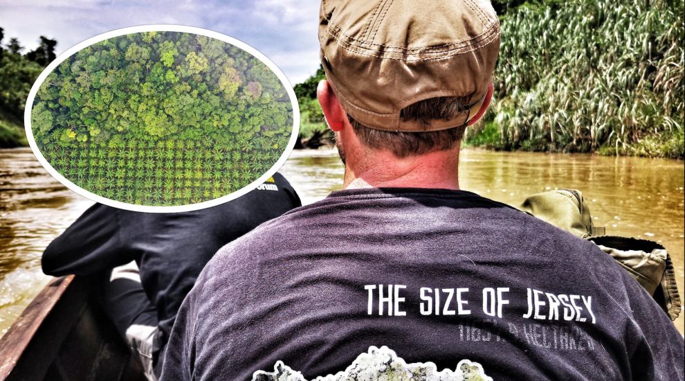 WATCH: Zookeeper's bid to save a rainforest the size of Jersey