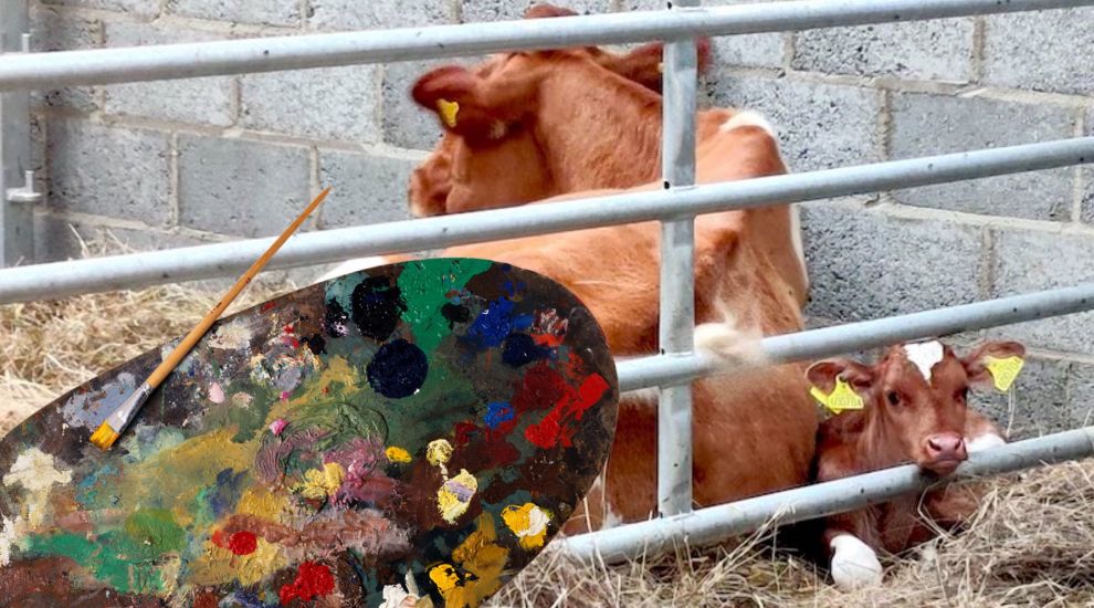 Art moo-veau? 'Culture for cows' to help Sark Dairy hit £480k goal