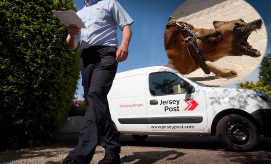 Dog owners urged to look after their postie!
