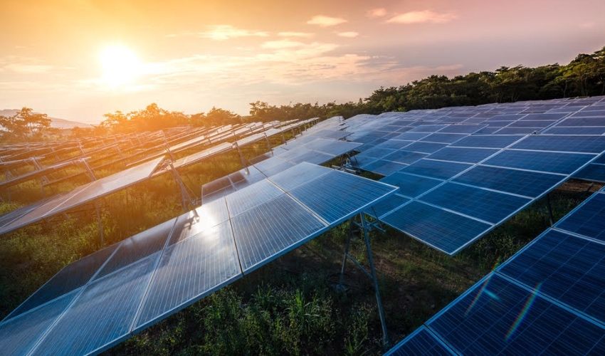 Planning policymakers back Sorel solar farm plan